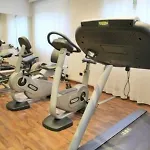 Hotel Milano Cologno 4*