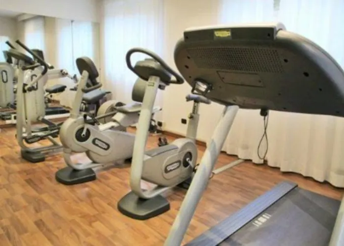 ホテル Milano Cologno 4*