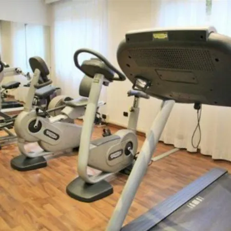 ホテル Milano Cologno 4*